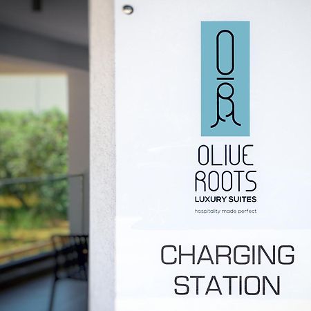 Olive Roots Hotel Skala Rachoni  Buitenkant foto