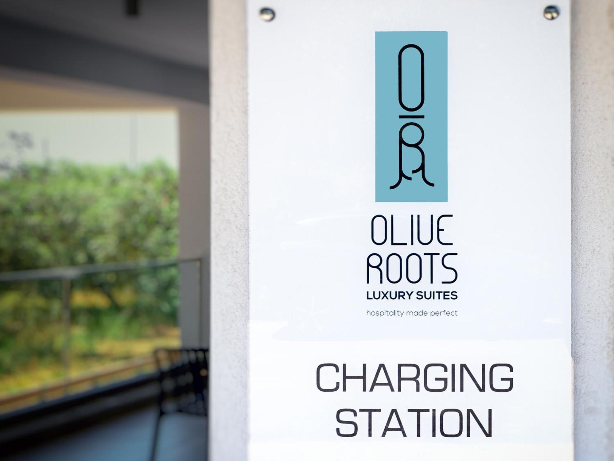 Olive Roots Hotel Skala Rachoni  Buitenkant foto