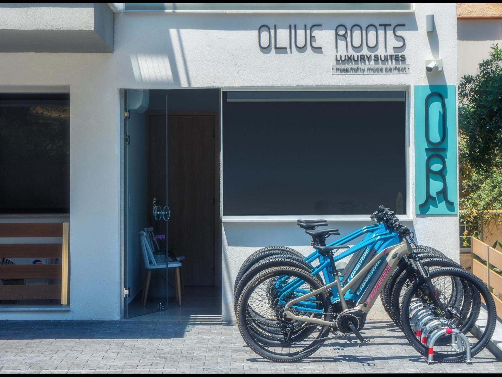 Olive Roots Hotel Skala Rachoni  Buitenkant foto